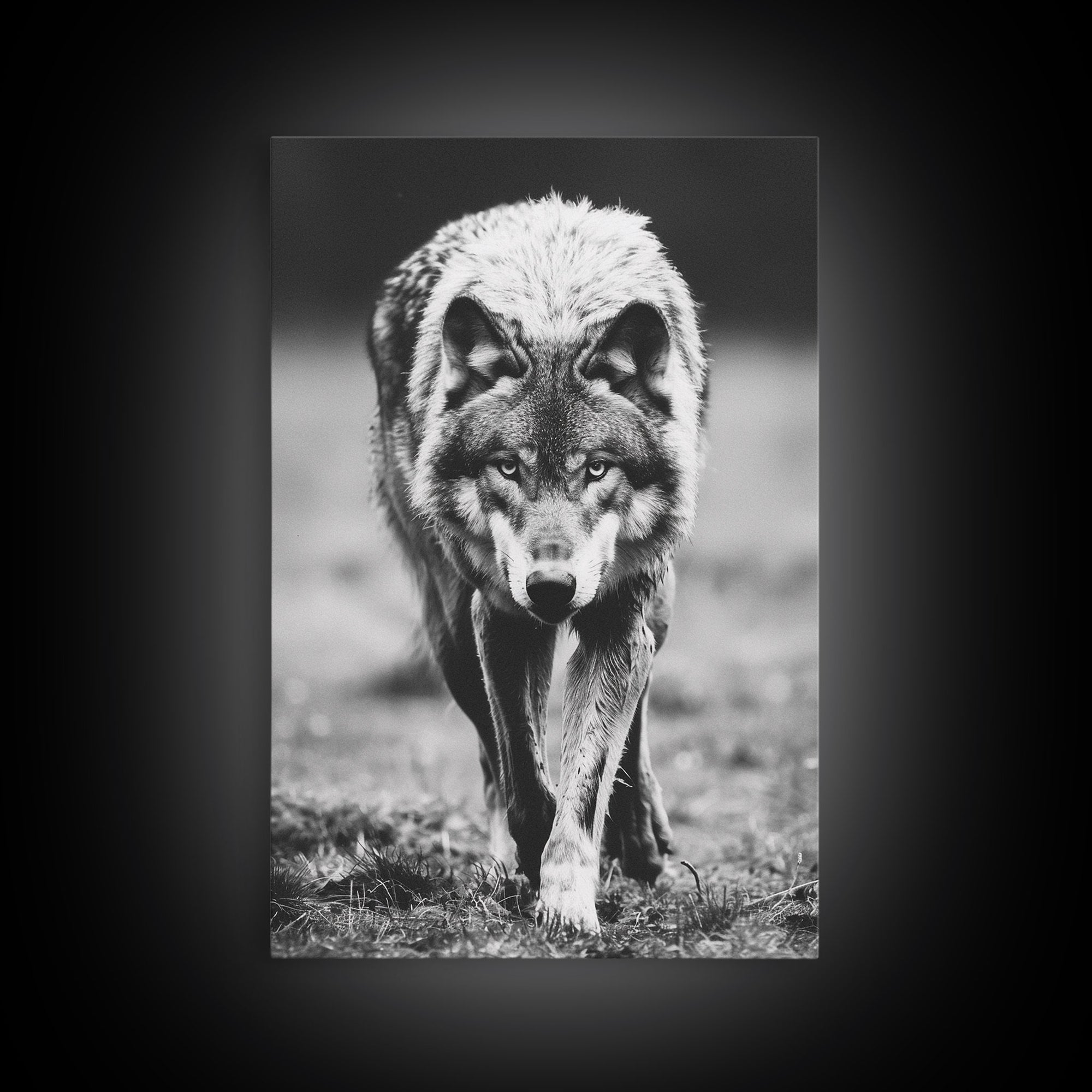 Majestic Wolf Black and White Art Print - Framed Canvas Wall Decor, Wildlife Art for Living Room, Rustic Animal Wall Art for Home