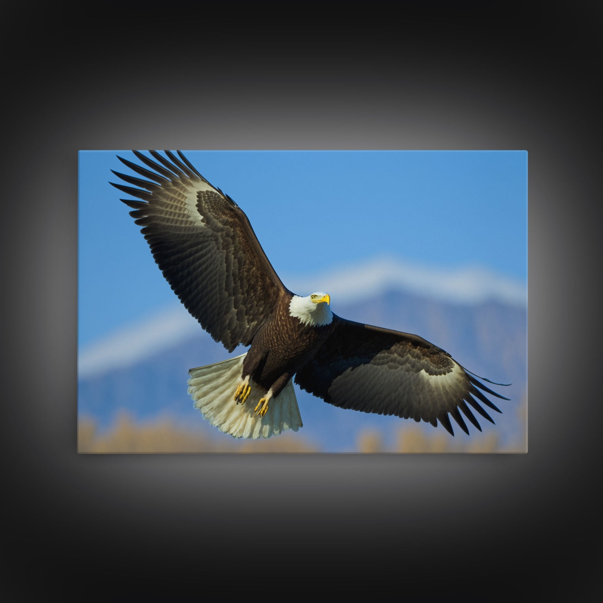 Eagle in a Mountain Clouds Canvas Wall Art Design, Framed Canvas Print Decor for Home & Office Decoration, CANVAS READY to Hang