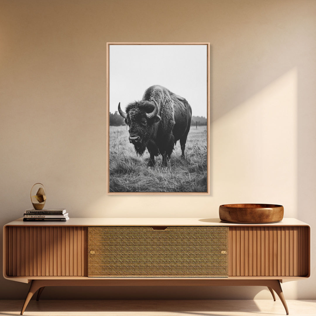 Majestic Bison in Black and White Photography - Framed Canvas Print, Wildlife Photography, Rustic Bison Art for Home Decor